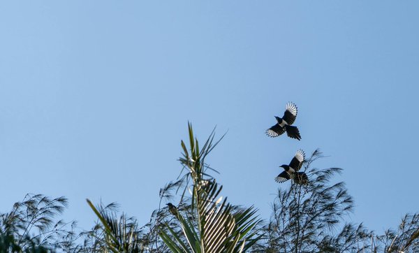 L'ostéoporose et la vitamine D : un duo essentiel